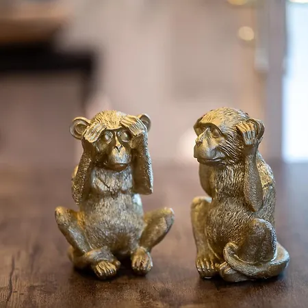 La Jungle Διαμέρισμα